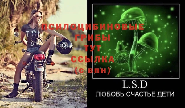 a pvp Баксан